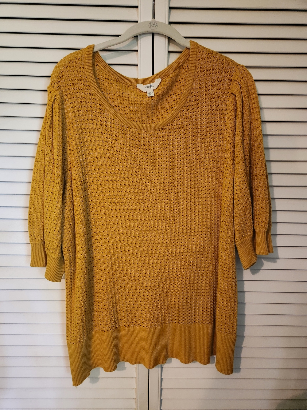 Terra & Sky Mustard Scoop-Neck Knit Sweater